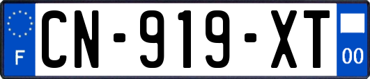 CN-919-XT