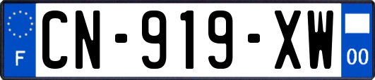 CN-919-XW