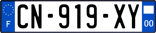 CN-919-XY