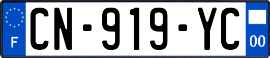 CN-919-YC
