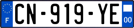 CN-919-YE