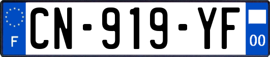 CN-919-YF
