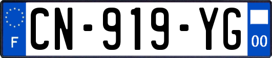 CN-919-YG