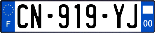 CN-919-YJ