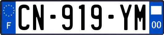 CN-919-YM