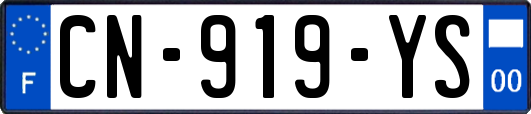 CN-919-YS