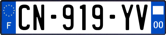 CN-919-YV