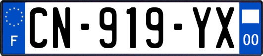 CN-919-YX