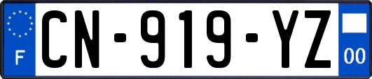 CN-919-YZ