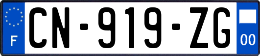 CN-919-ZG