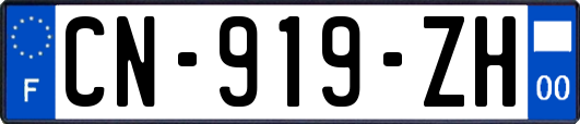 CN-919-ZH