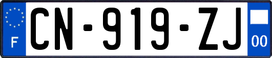 CN-919-ZJ