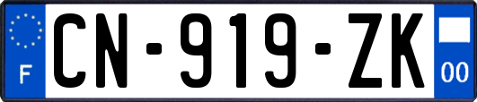 CN-919-ZK