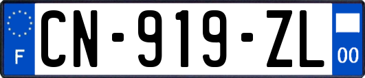 CN-919-ZL