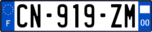 CN-919-ZM