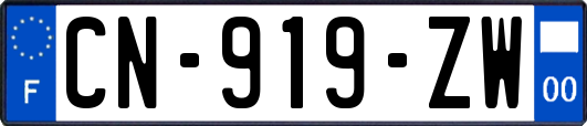 CN-919-ZW