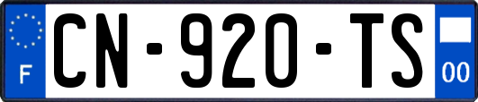 CN-920-TS