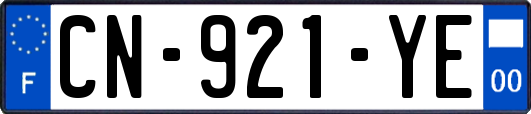 CN-921-YE