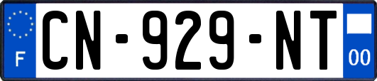 CN-929-NT