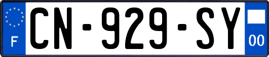 CN-929-SY