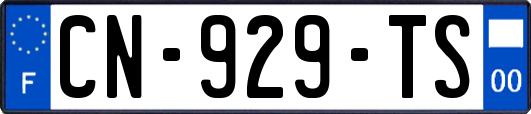 CN-929-TS