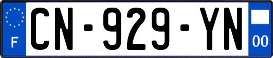 CN-929-YN