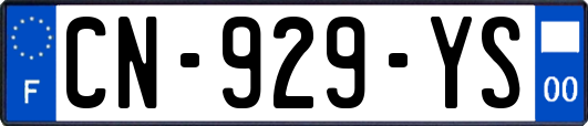 CN-929-YS