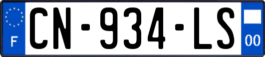 CN-934-LS