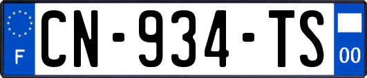 CN-934-TS