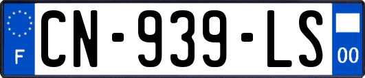 CN-939-LS
