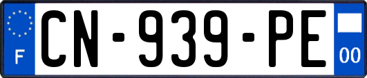 CN-939-PE