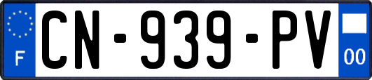 CN-939-PV