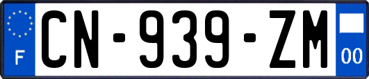 CN-939-ZM