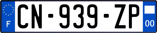 CN-939-ZP