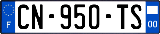 CN-950-TS