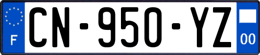 CN-950-YZ