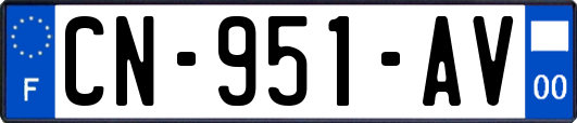 CN-951-AV