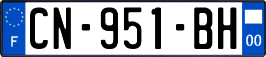 CN-951-BH