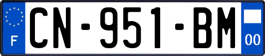 CN-951-BM