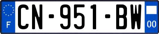 CN-951-BW