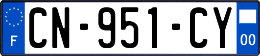 CN-951-CY