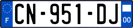 CN-951-DJ