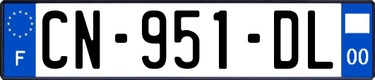 CN-951-DL