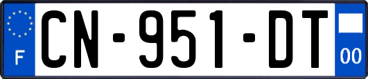 CN-951-DT