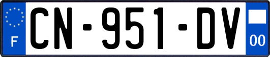 CN-951-DV