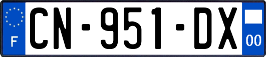 CN-951-DX