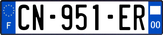 CN-951-ER