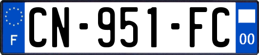 CN-951-FC