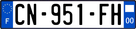 CN-951-FH