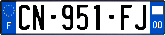 CN-951-FJ